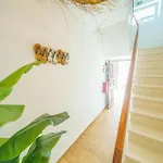 Prázdninový dům Casa Estrela Do Mar *